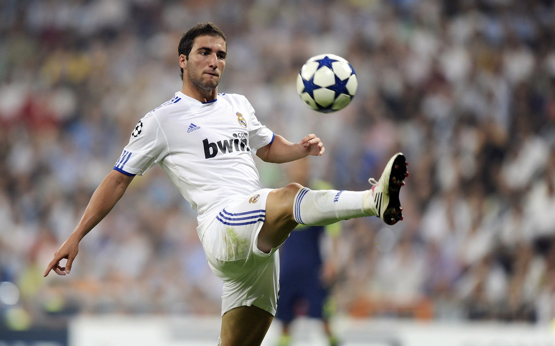 世界跆拳道锦标赛焦点对决